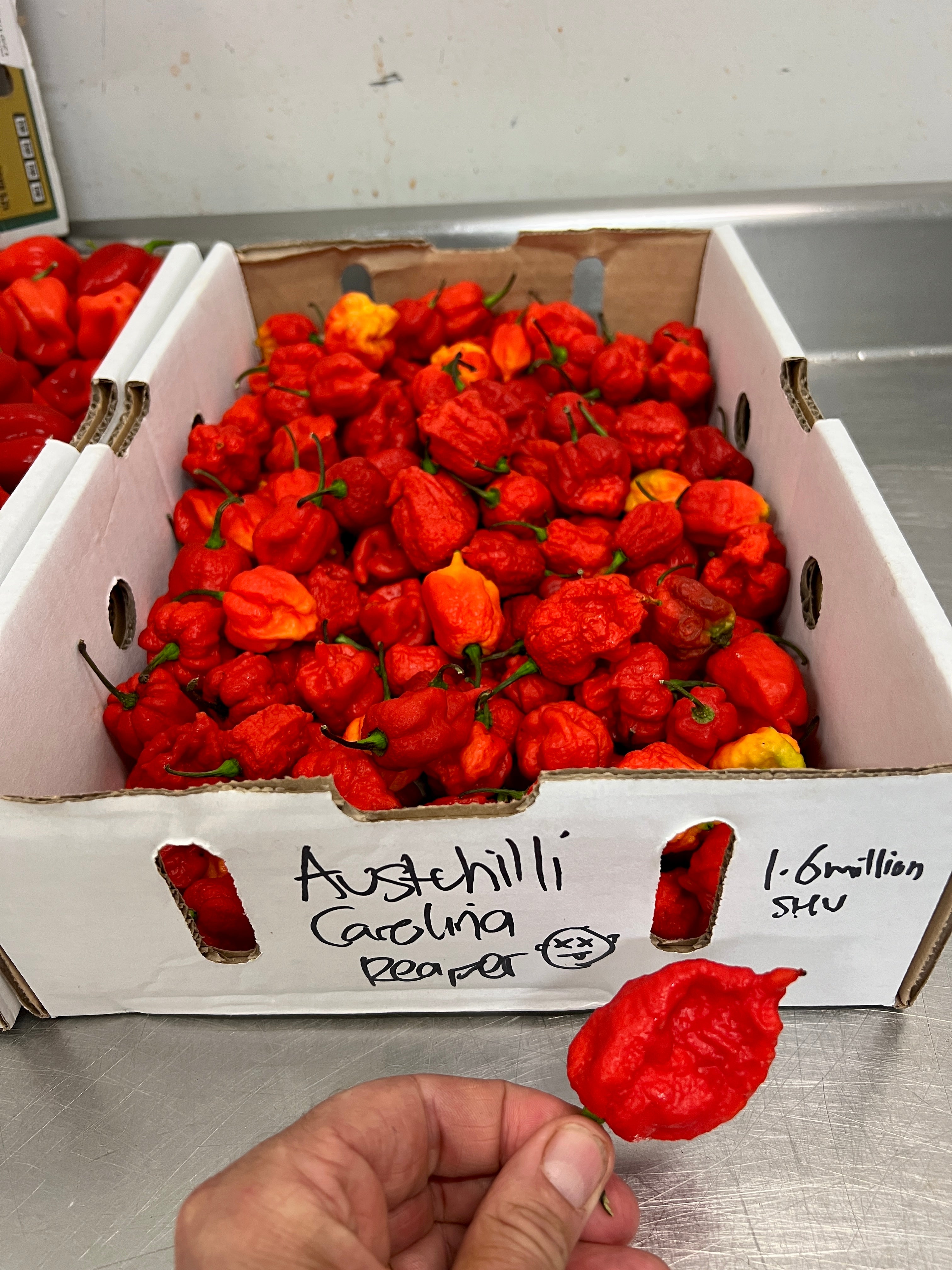 Hot HOT HOT Sauce with Roasted Pepper & Smoked Carolina Reaper 140ml (GF)